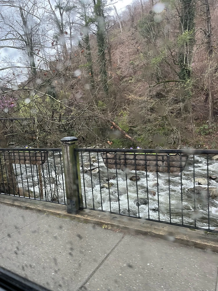 Image uploaded by Mar