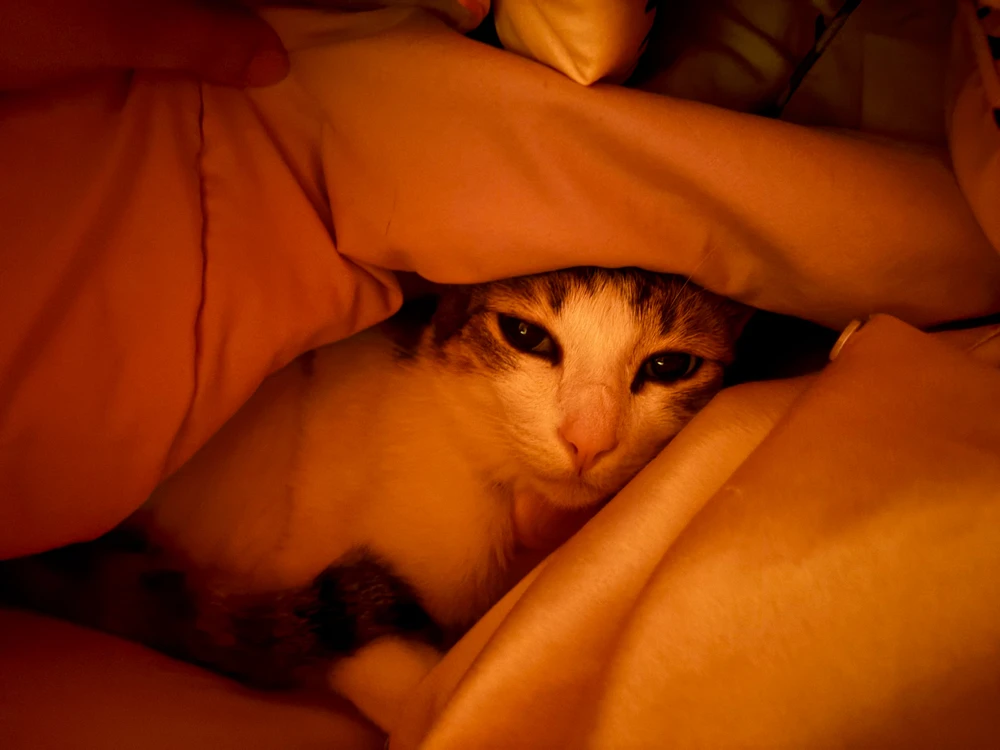 GIF uploaded by Pat♡