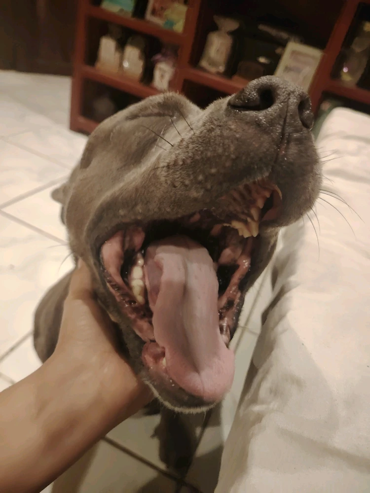 GIF uploaded by Pawee