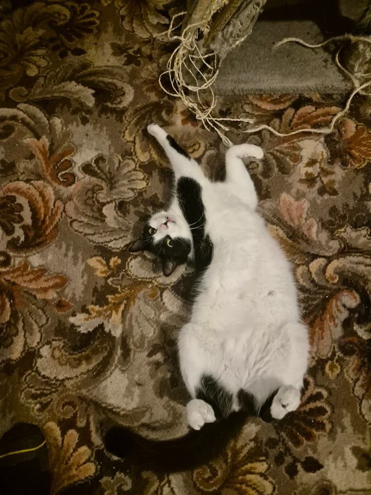 GIF uploaded by Dave