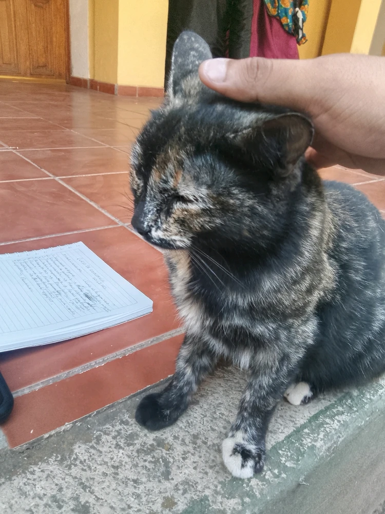 GIF uploaded by Juan M