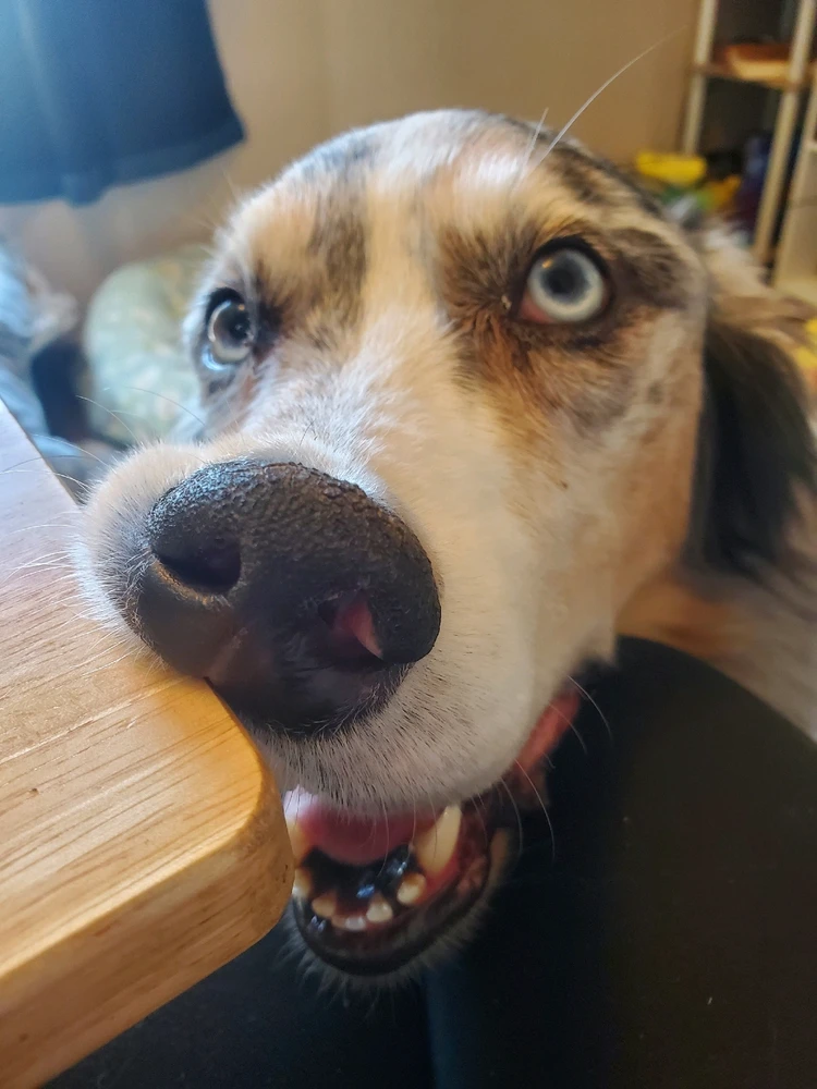 GIF uploaded by Gwen