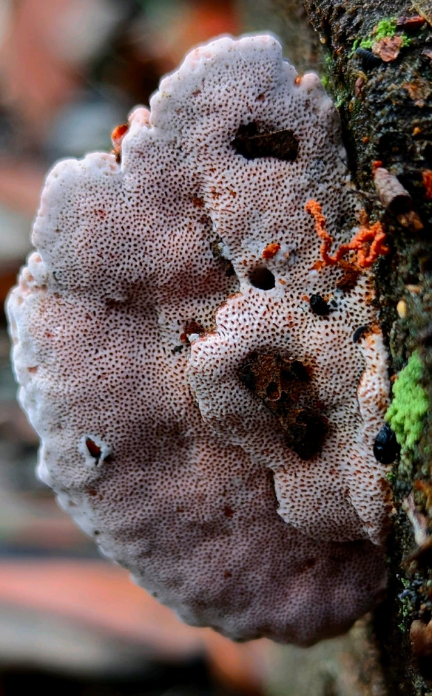 GIF uploaded by Chris