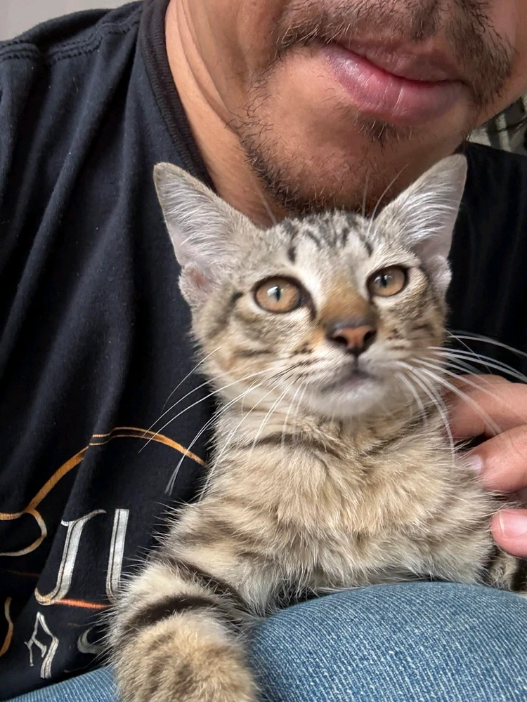 GIF uploaded by Kliff