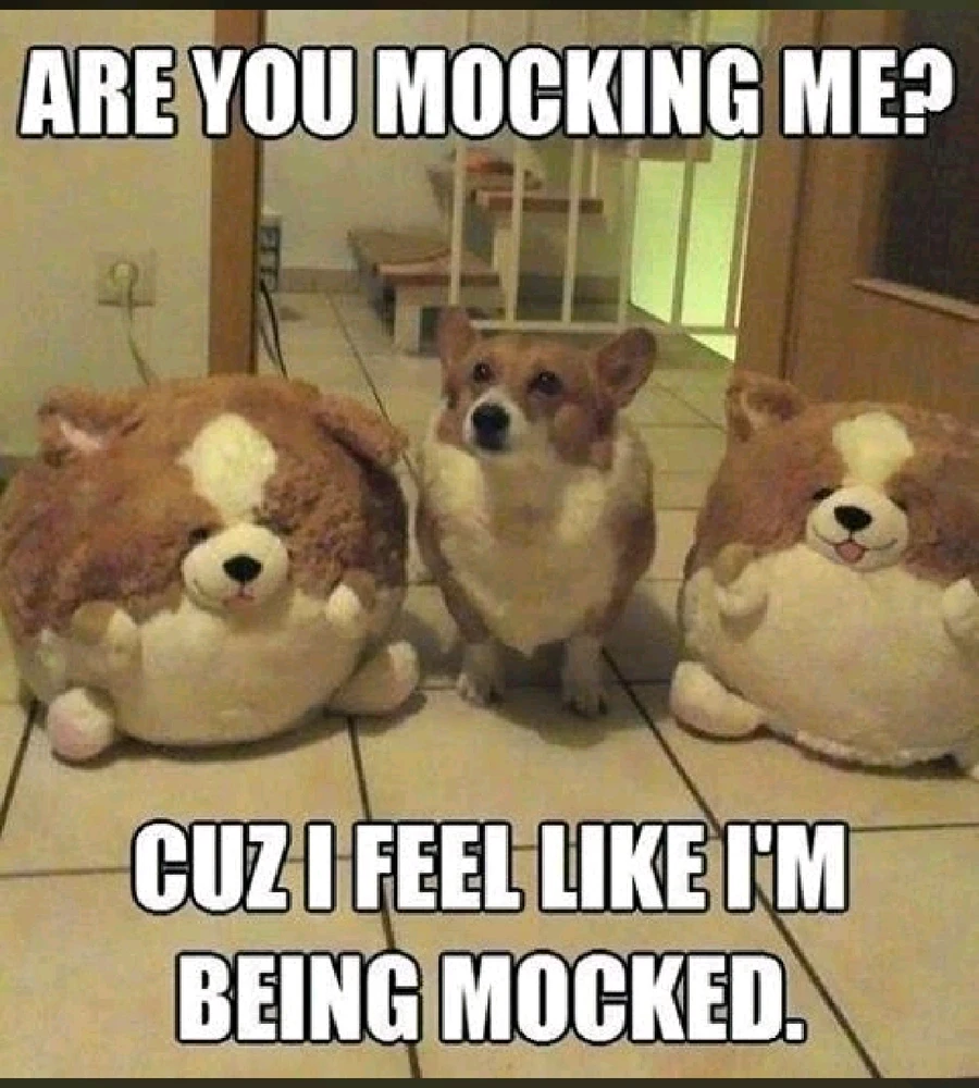 GIF uploaded by Derrick