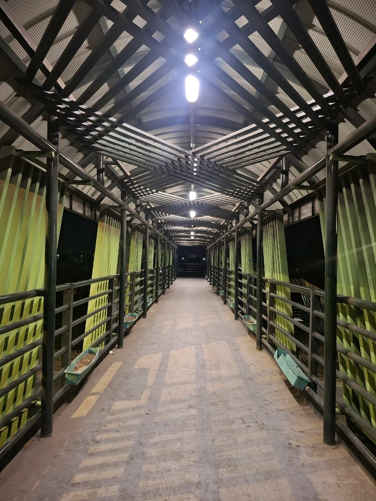 Image uploaded by Jel