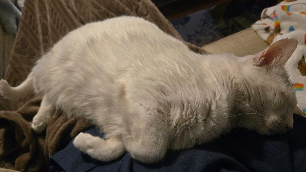 GIF uploaded by Keri