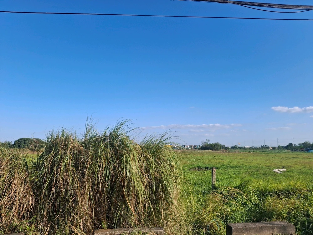 Image uploaded by Jel