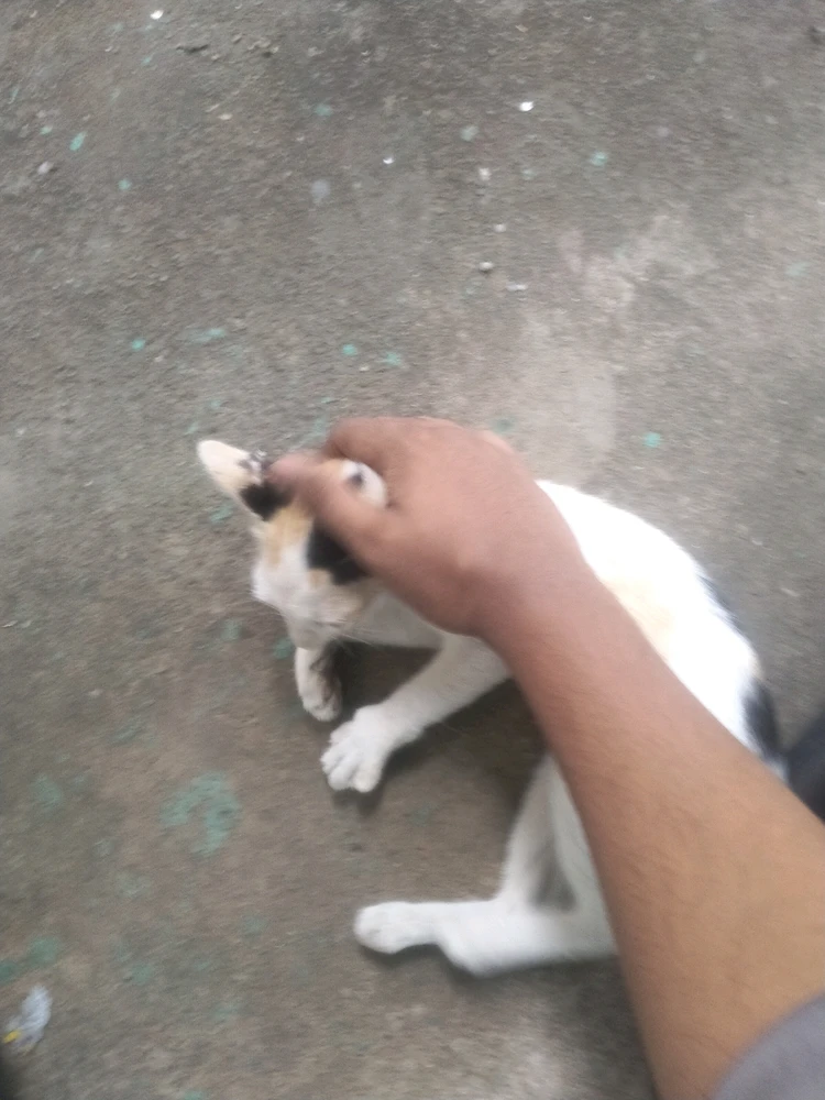 GIF uploaded by Ashif