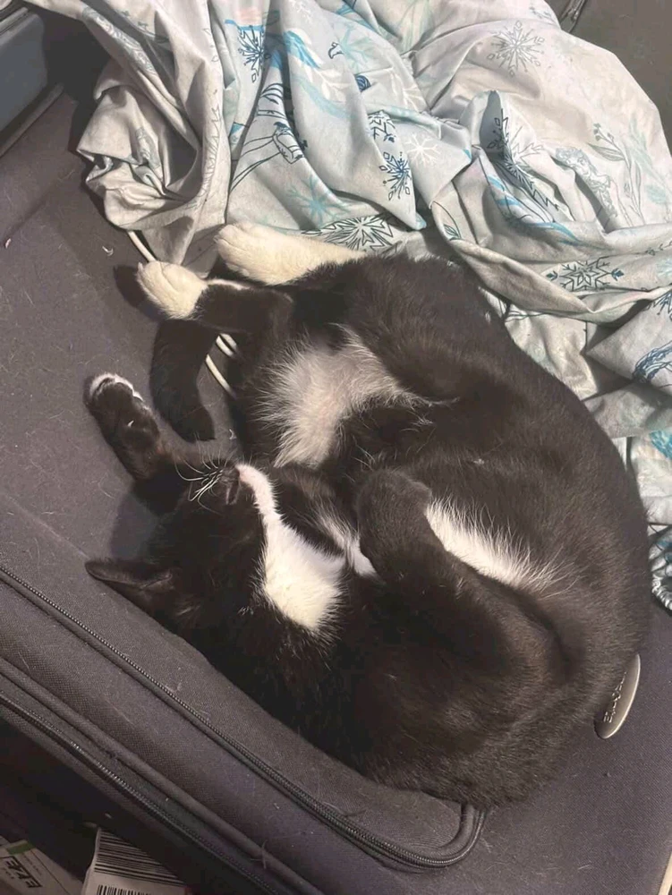 Image uploaded by Daniel