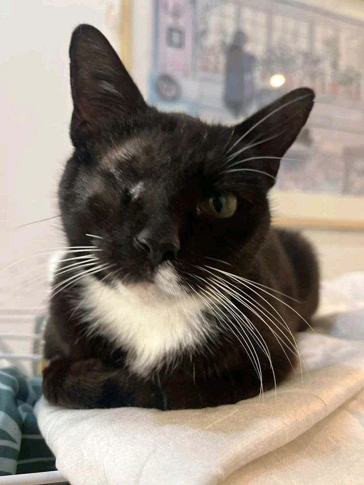 Image uploaded by Daniel