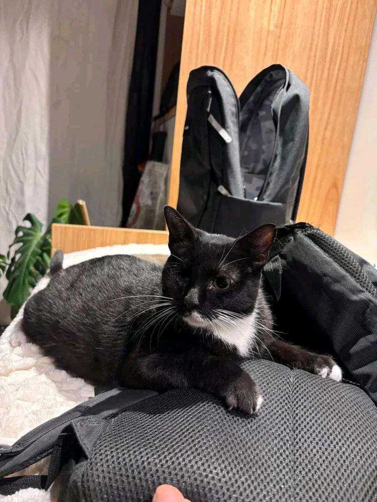 Image uploaded by Daniel