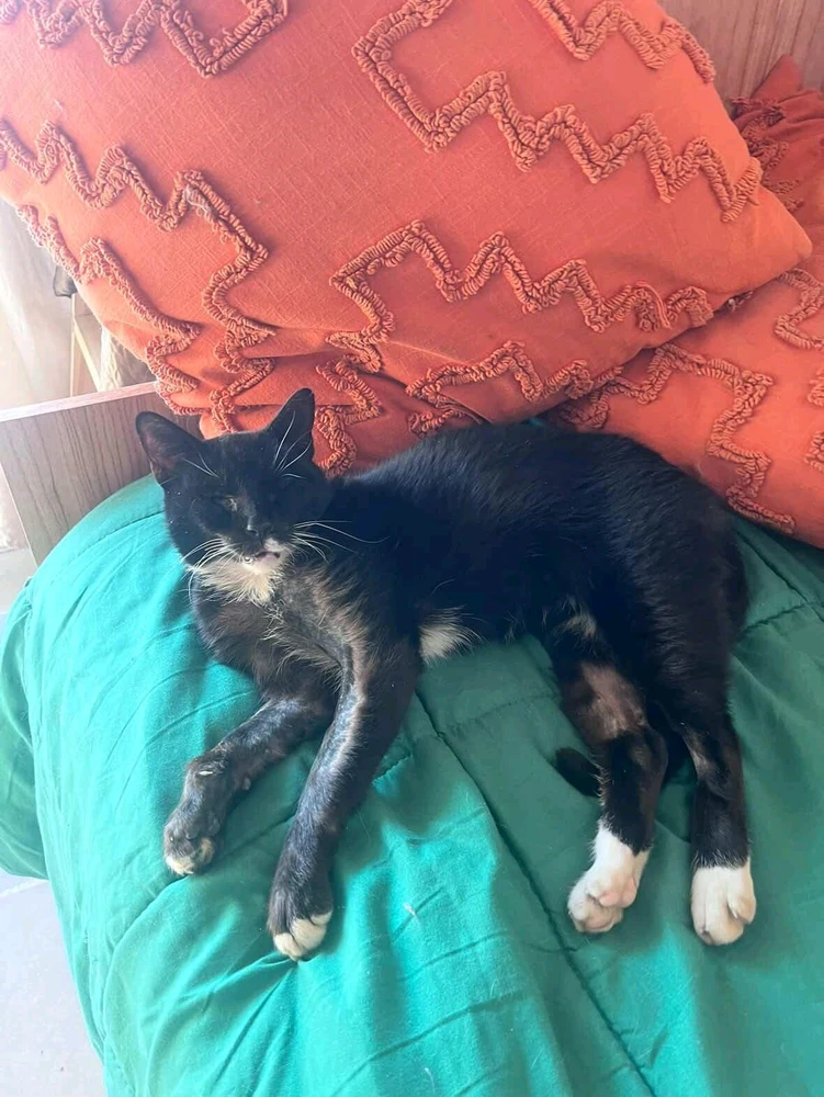 Image uploaded by Daniel