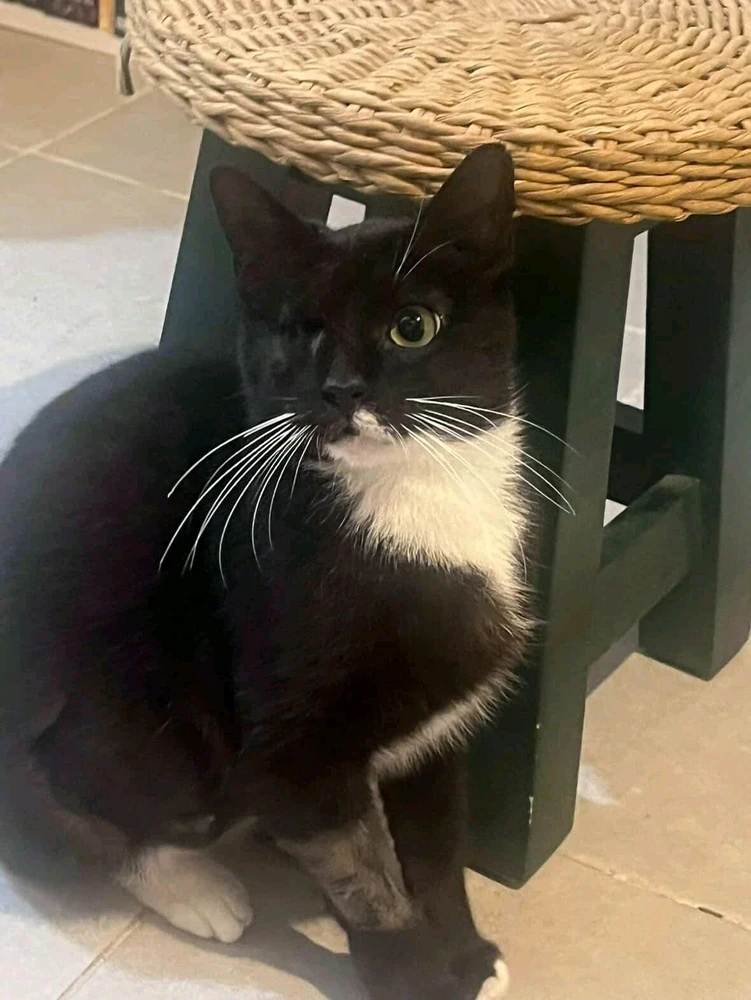 Image uploaded by Daniel