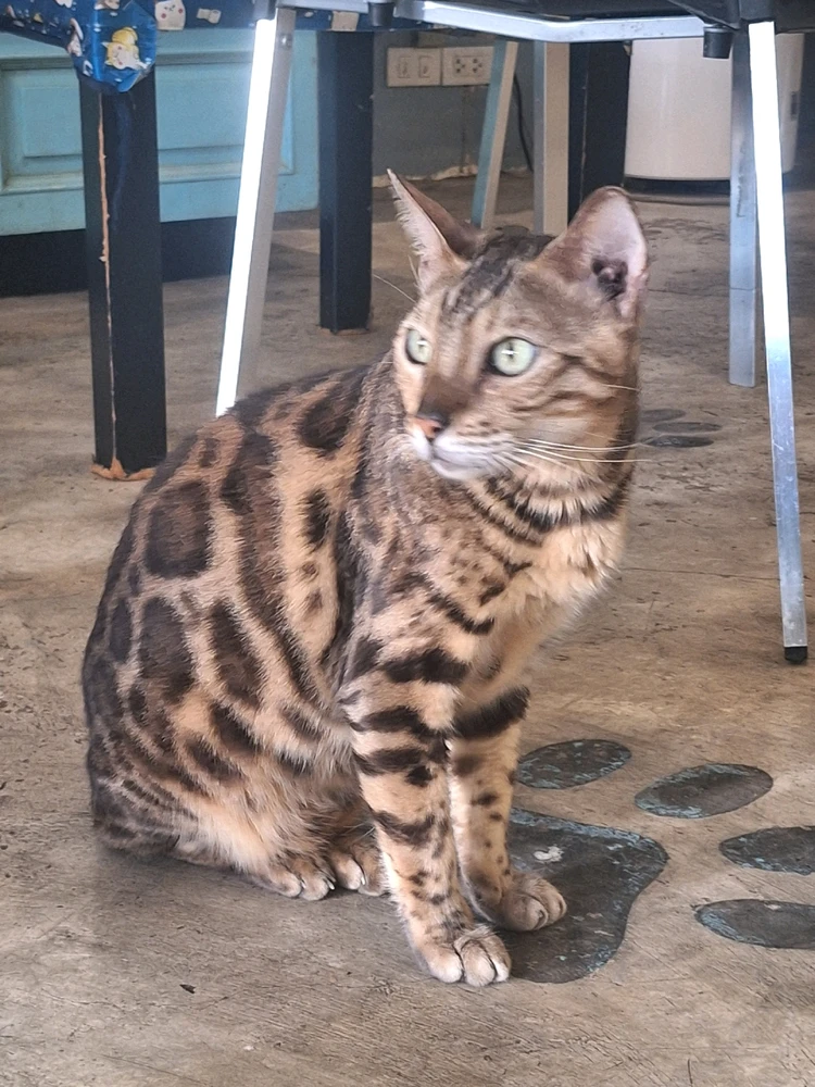 Image uploaded by Adam