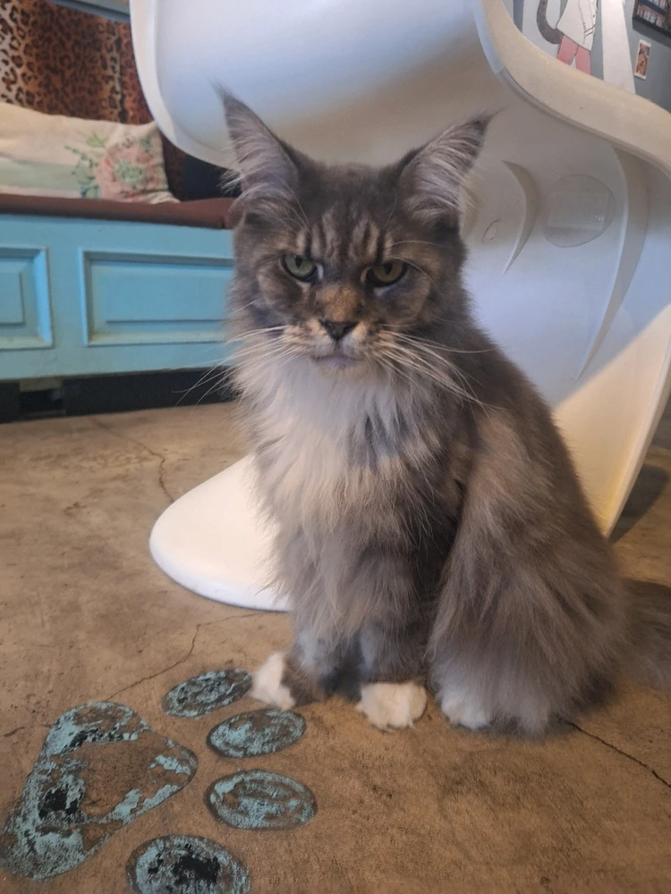 Image uploaded by Adam