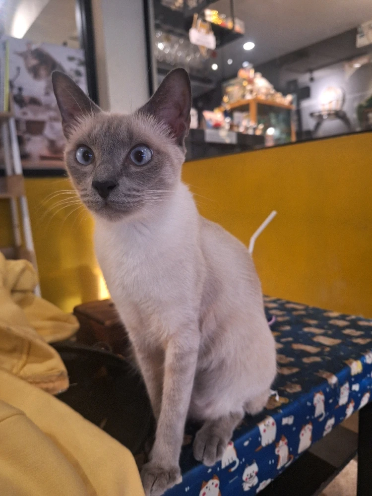 Image uploaded by Adam