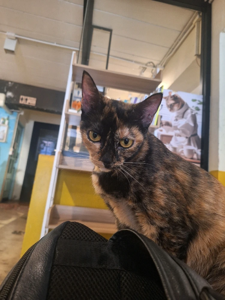 Image uploaded by Adam