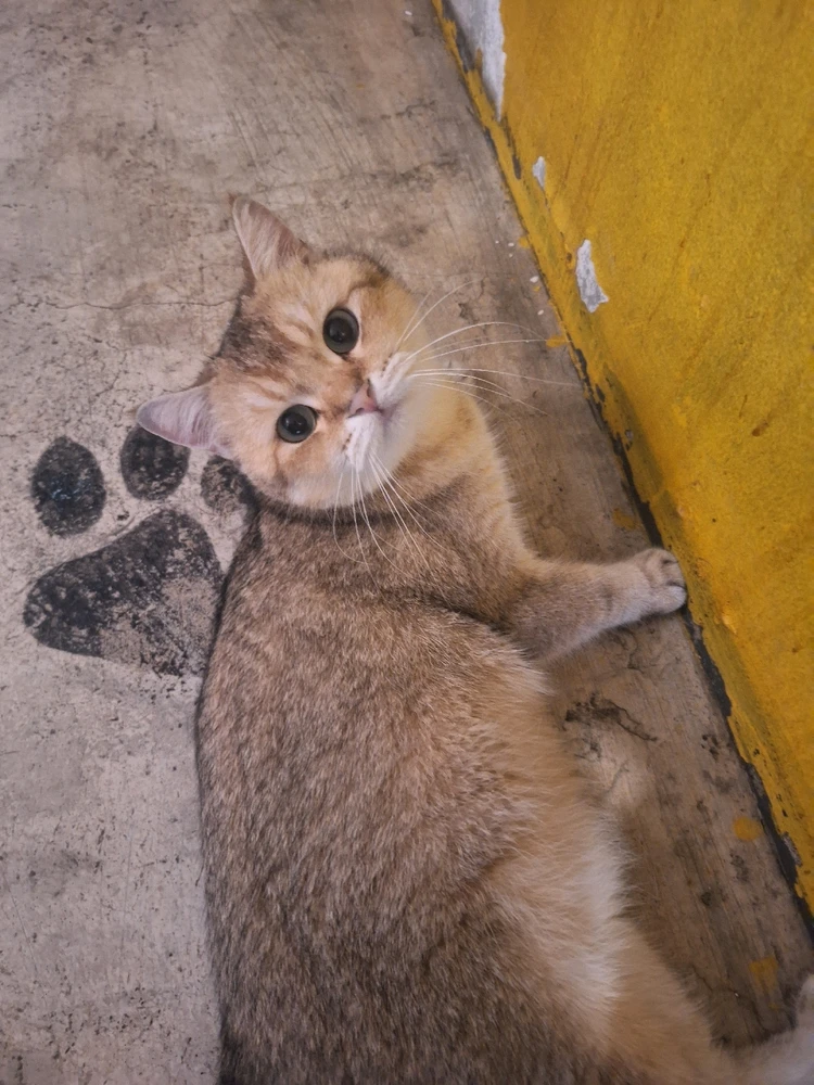 Image uploaded by Adam