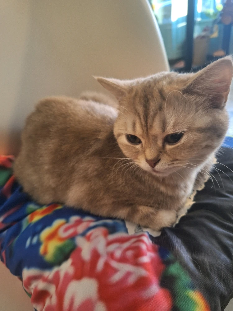 Image uploaded by Adam