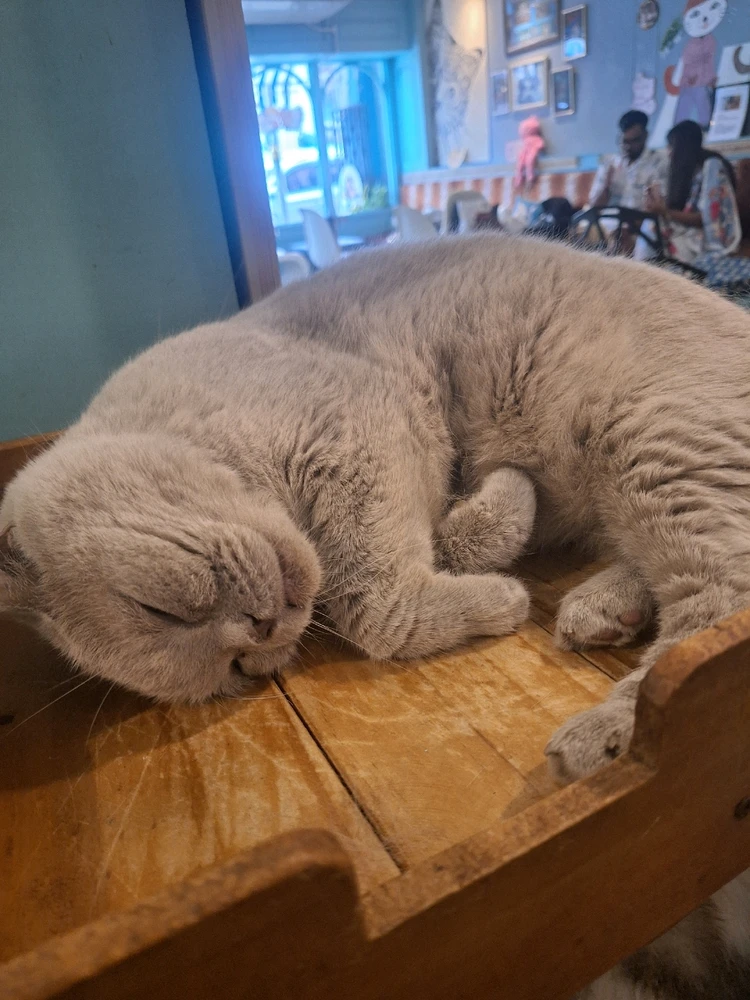 Image uploaded by Adam