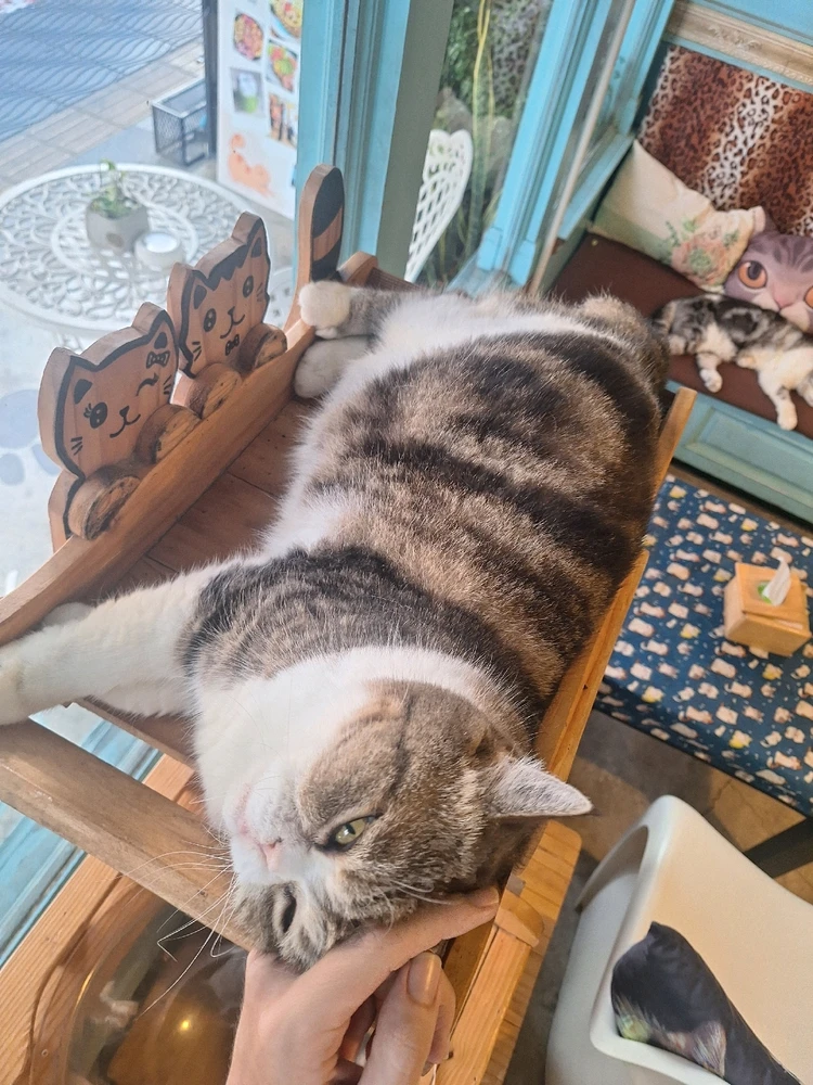 Image uploaded by Adam