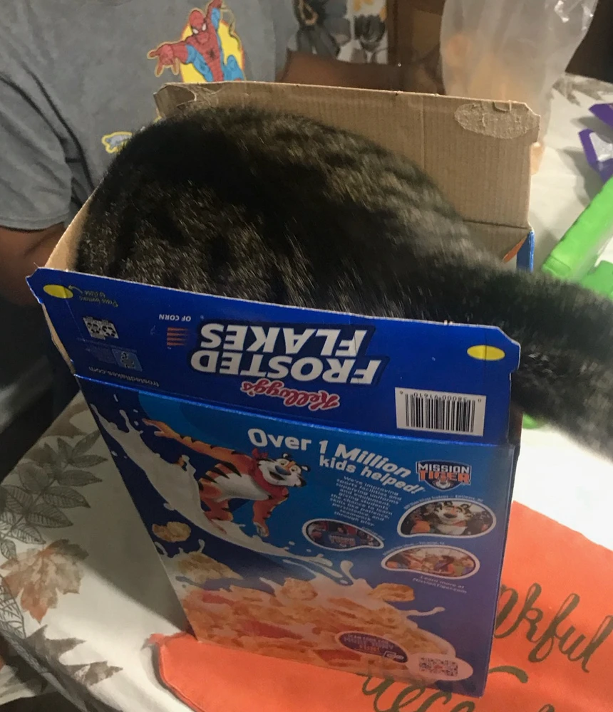 GIF uploaded by Oscar