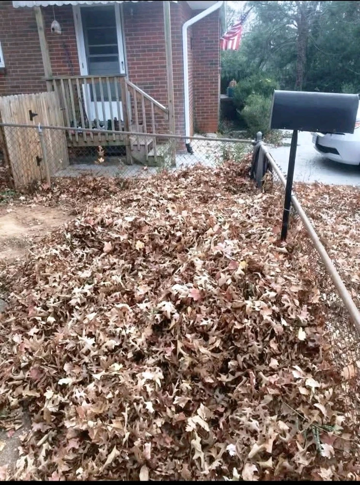 GIF uploaded by Kristmas Hill