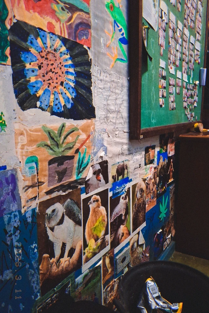 Image uploaded by Lexie