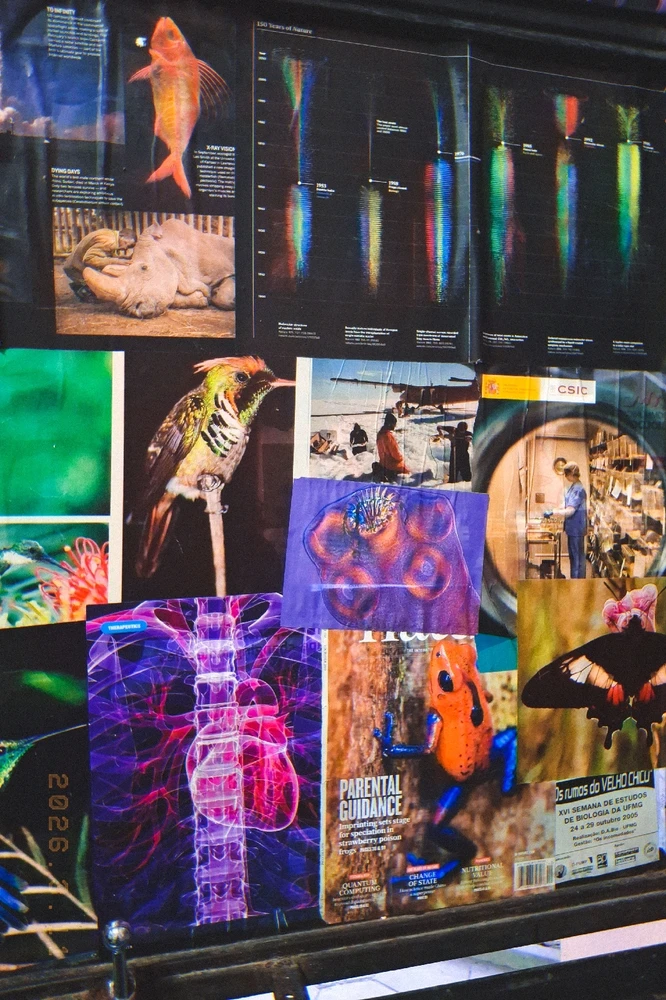 Image uploaded by Lexie