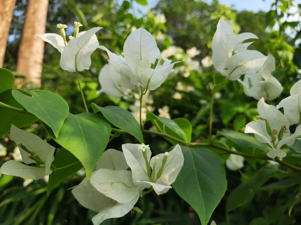 Jeet আপলোড করেছে