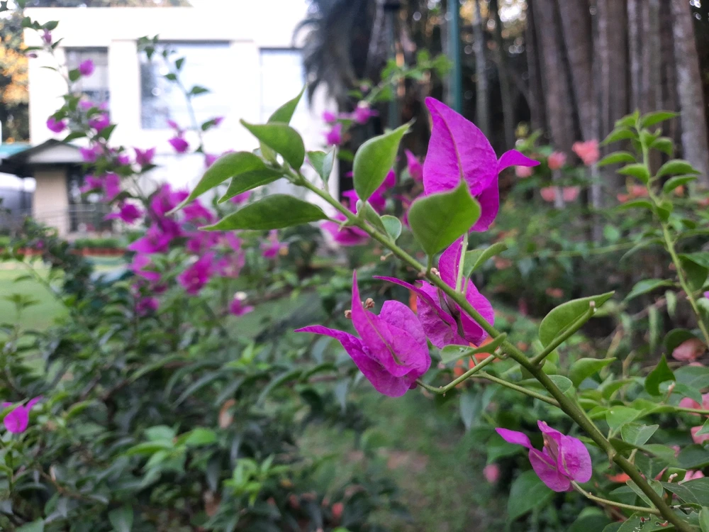 Jeet আপলোড করেছে