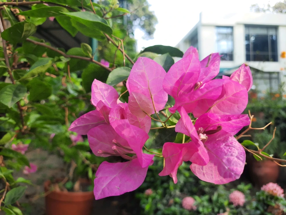 Jeet আপলোড করেছে