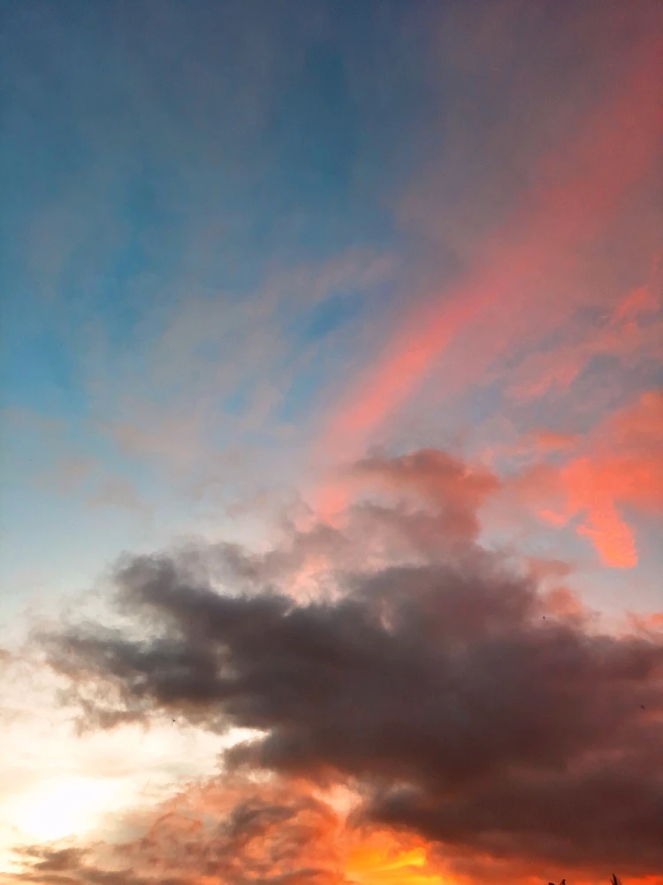 Jeet আপলোড করেছে