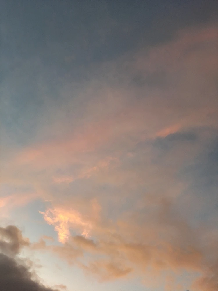 Jeet আপলোড করেছে