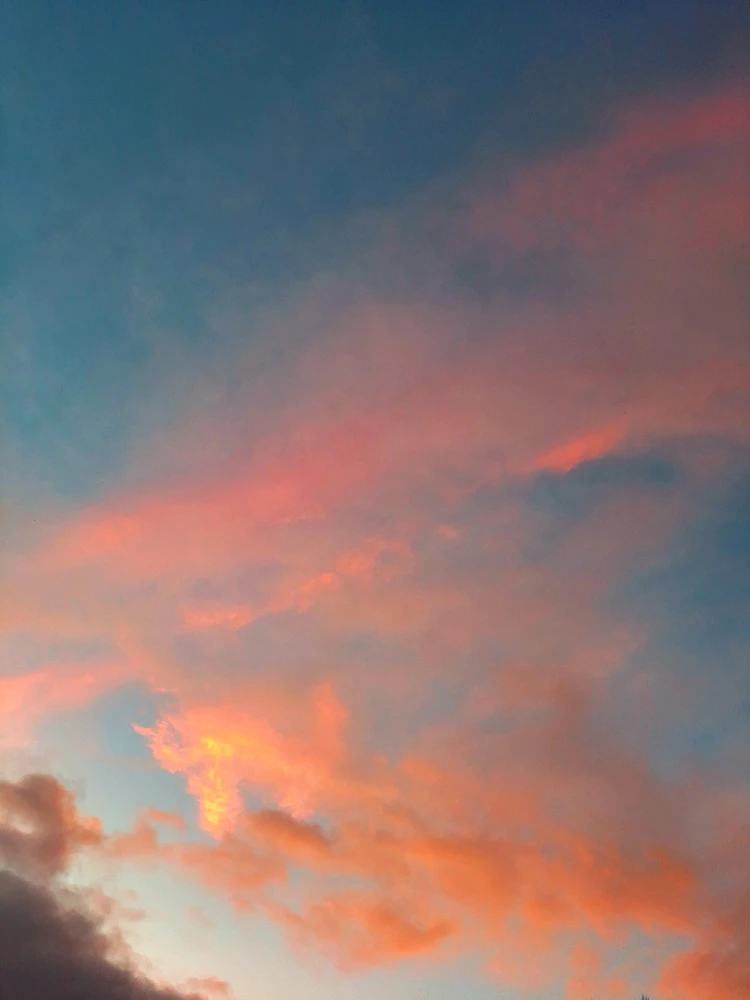 Jeet আপলোড করেছে