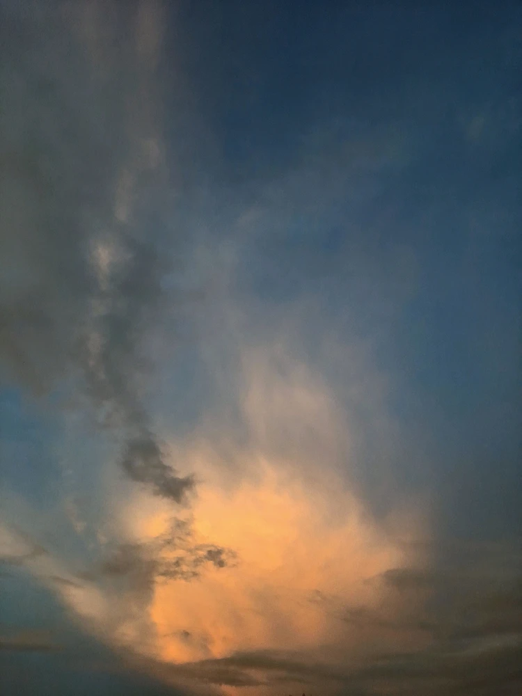 Jeet আপলোড করেছে