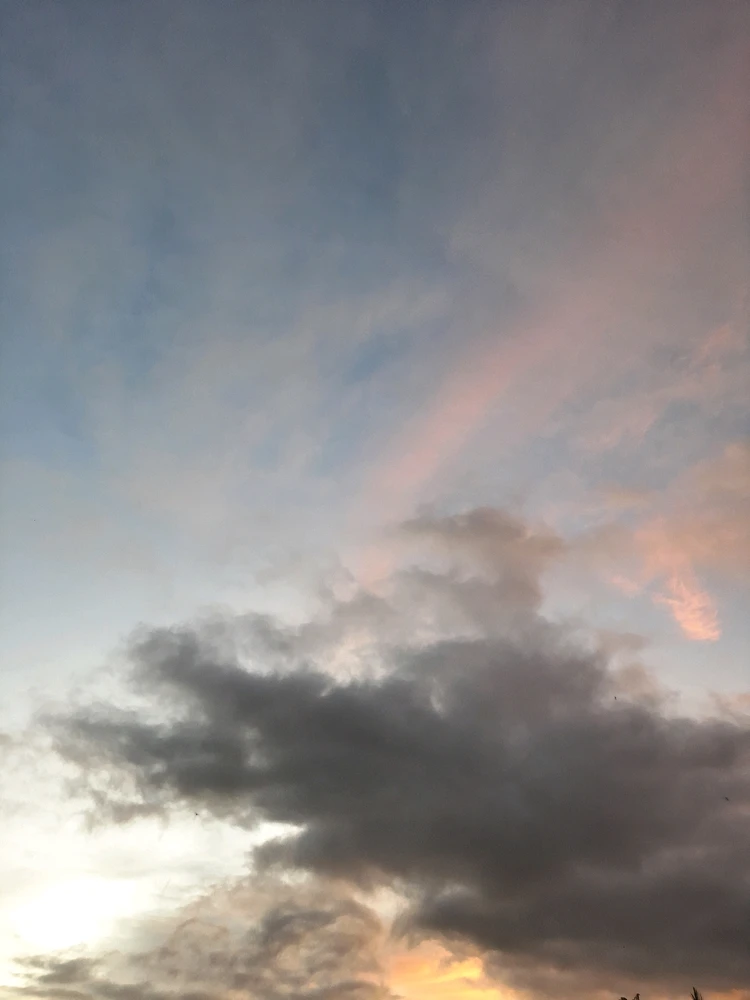 Jeet আপলোড করেছে