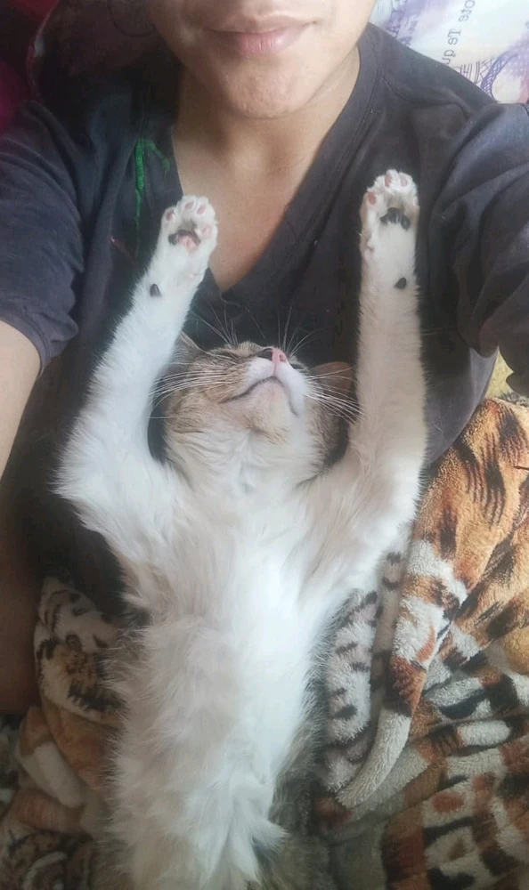 GIF uploaded by Ross