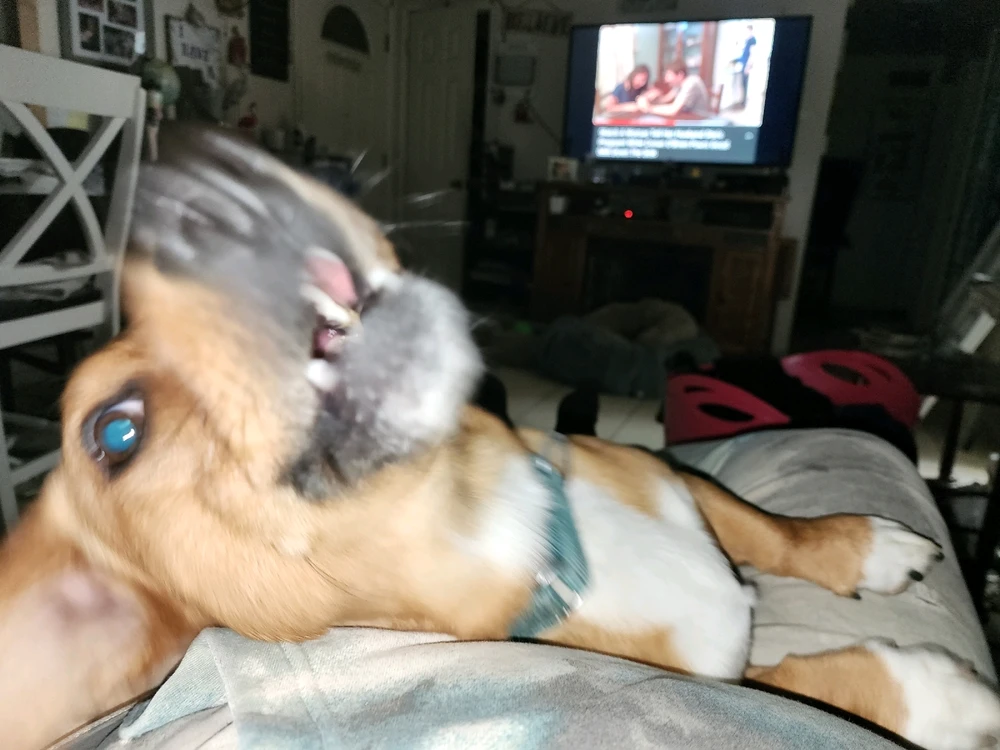 Image uploaded by Tim