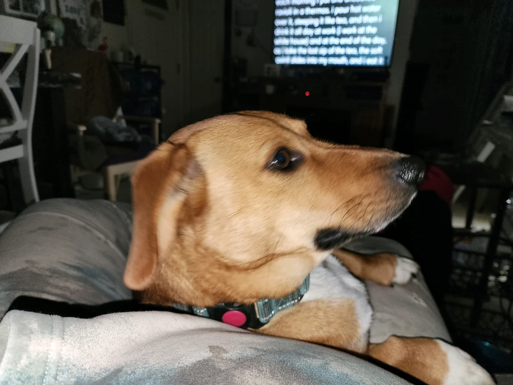 Image uploaded by Tim