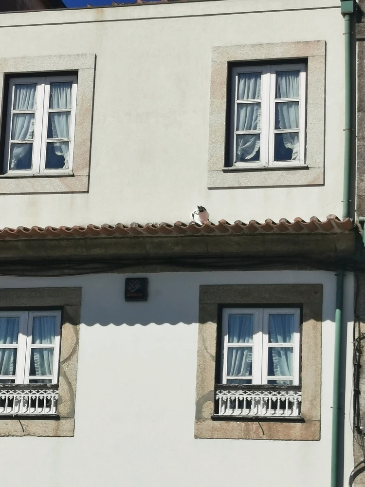 Image uploaded by Sergio