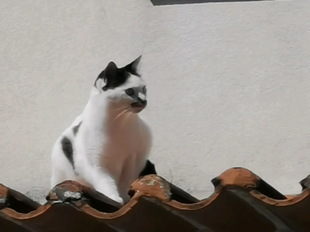 Image uploaded by Sergio