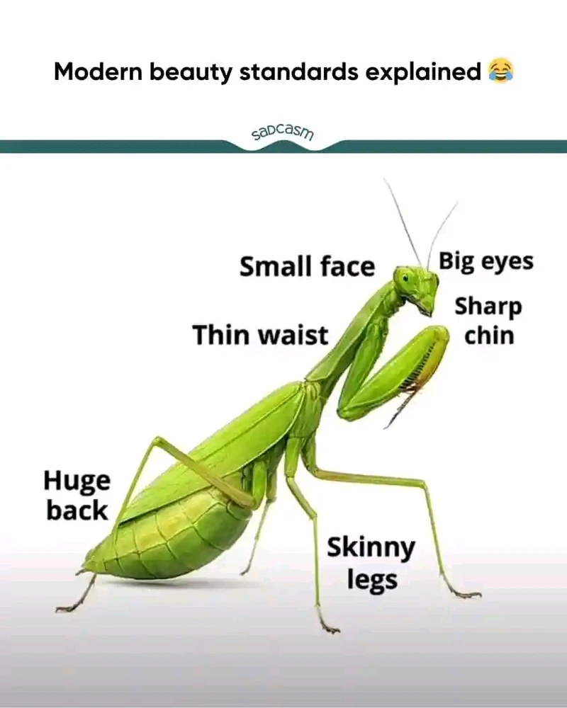 GIF uploaded by Dragoness