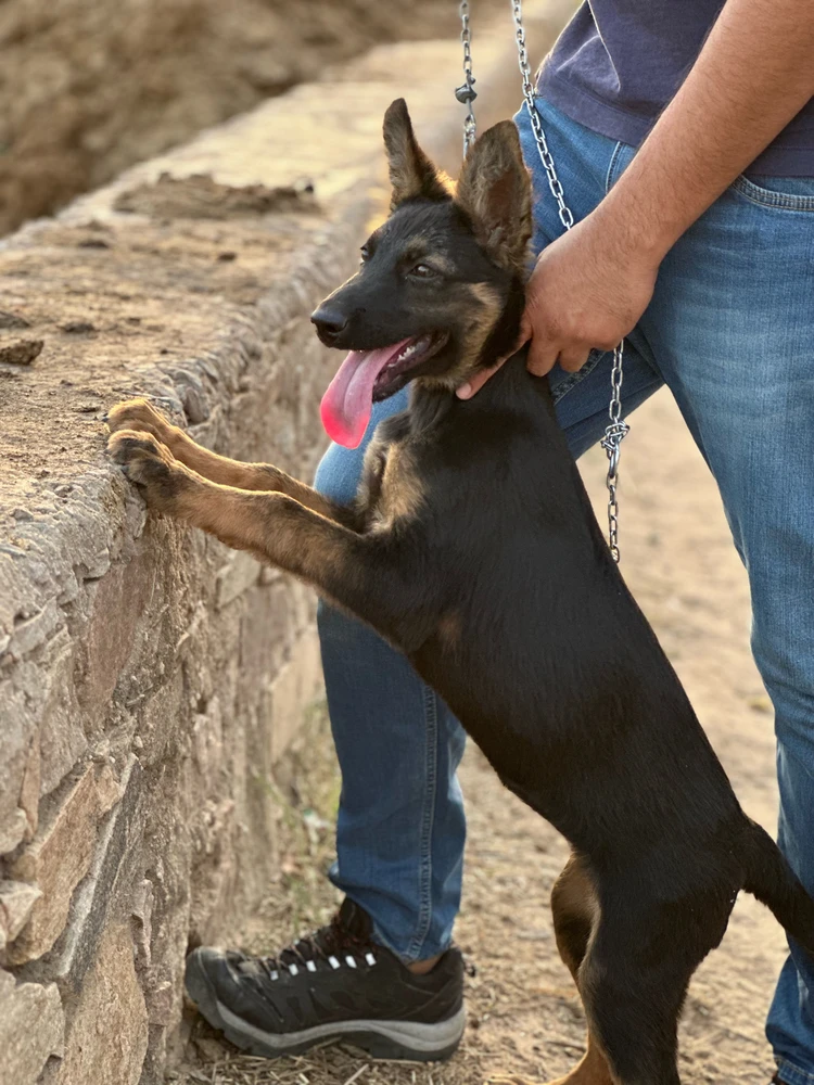 GIF uploaded by One Heart