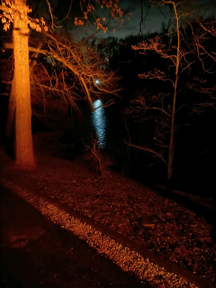 GIF uploaded by Jesse