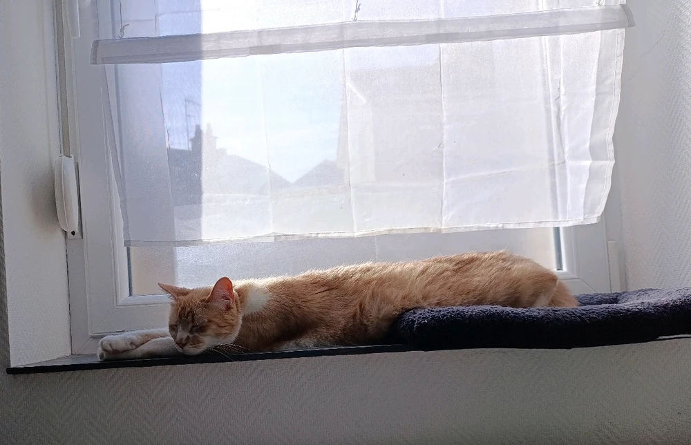 GIF uploaded by Pauline