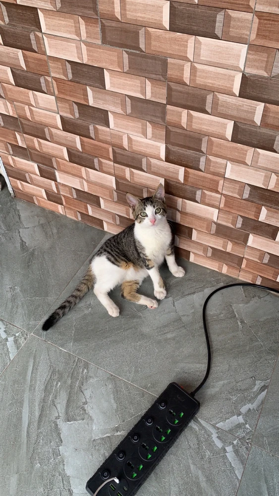 Image uploaded by Sarah