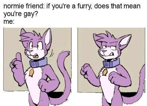 GIF uploaded by Molly