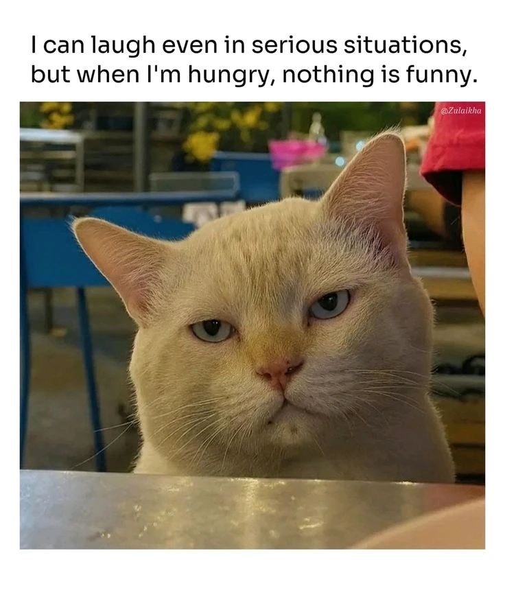 GIF uploaded by 𝑨𝒏𝒆𝒆𝒍..